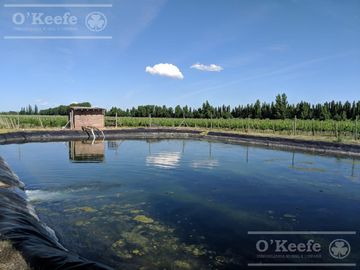 place photo 24