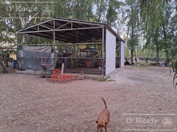place photo 14