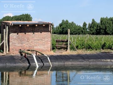 place photo 23
