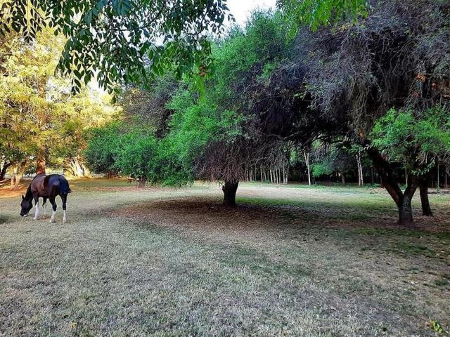 place photo 35