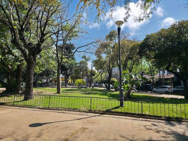 place photo 12