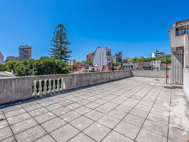 place photo 56