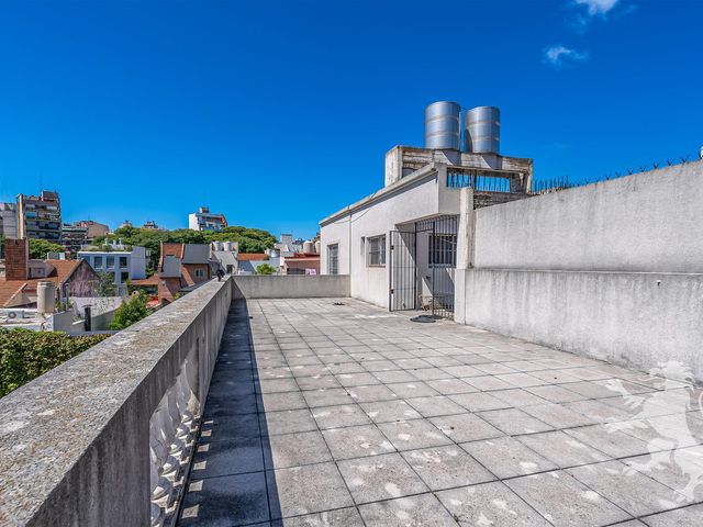 place photo 57