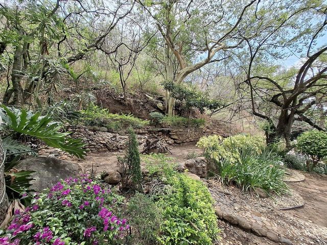 place photo 39