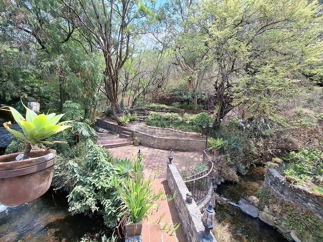 place photo 37