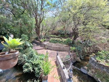 place photo 37