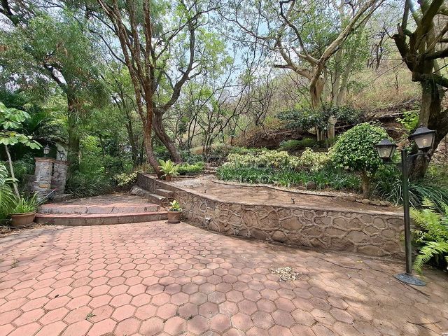 place photo 38