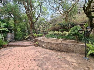 place photo 38