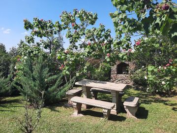 place photo 40