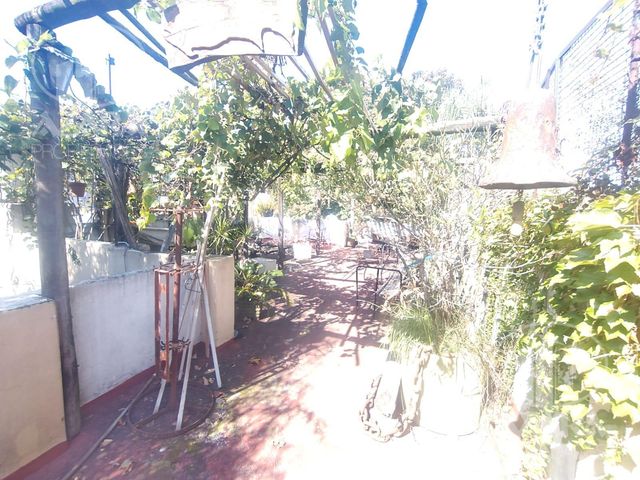 place photo 42