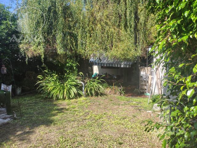place photo 43
