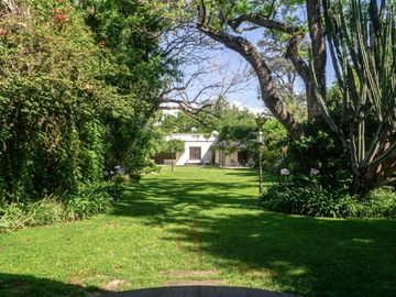 place photo 38