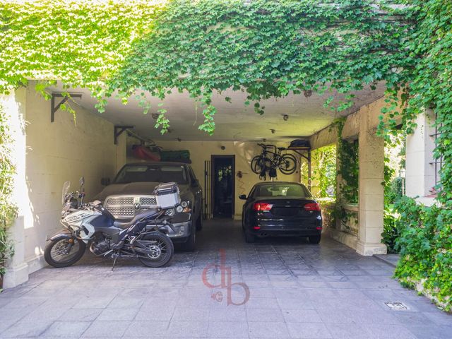 place photo 41