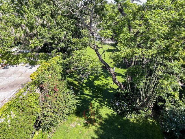 place photo 36