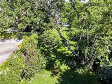 place photo 36