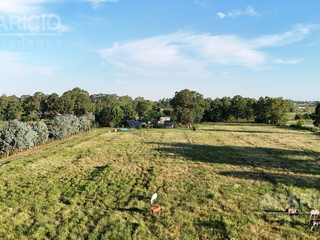 place photo 5
