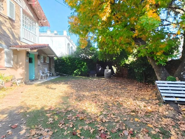 place photo 40