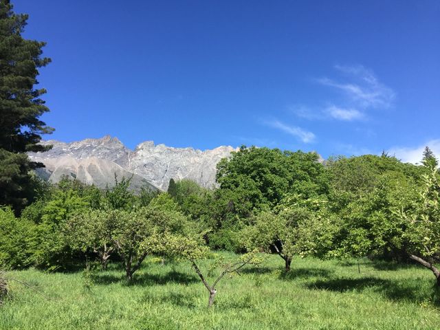 place photo 17
