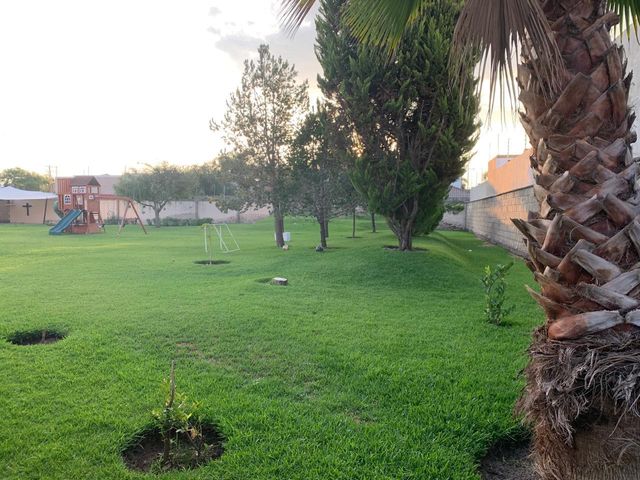place photo 78