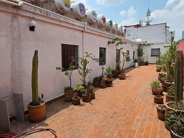 place photo 22