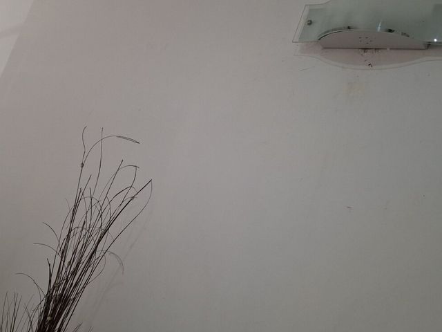 place photo 337