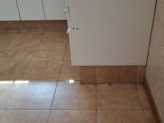 place photo 253