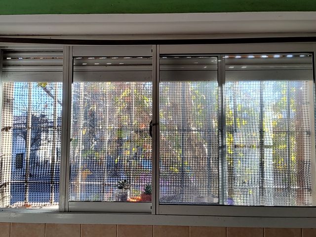 place photo 39