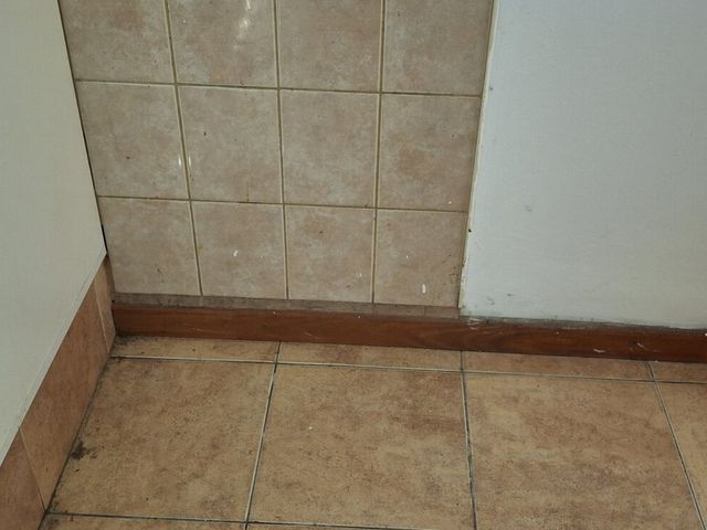 place photo 191