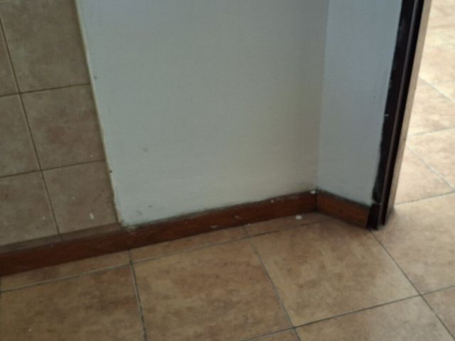 place photo 190