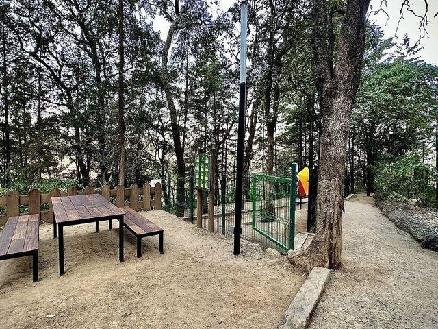 place photo 22