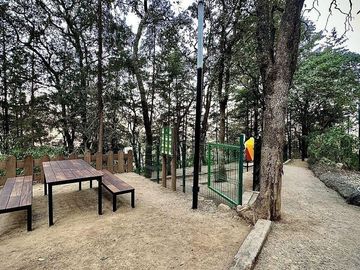 place photo 22