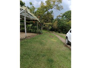 place photo 49