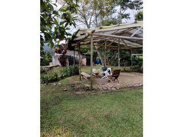 place photo 48