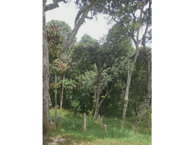 place photo 47