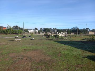 place photo 15