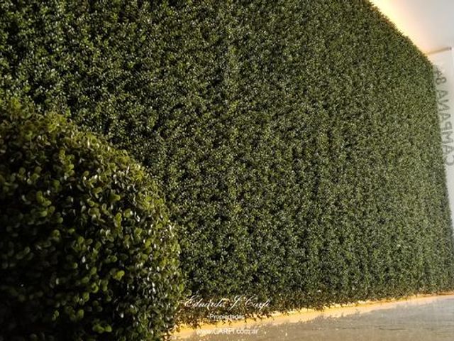 place photo 52