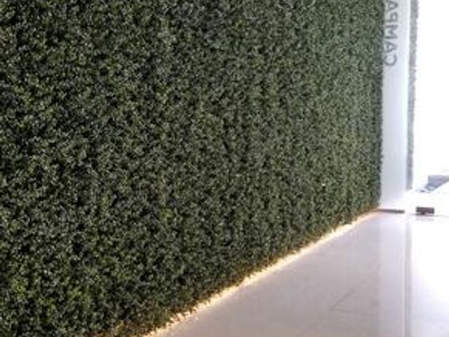 place photo 50
