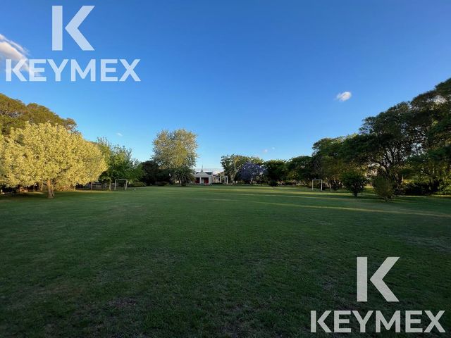 place photo 26