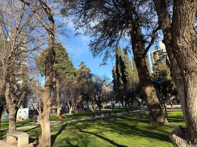 place photo 22