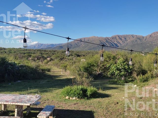 place photo 39