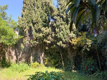 place photo 47
