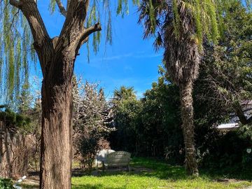 place photo 51