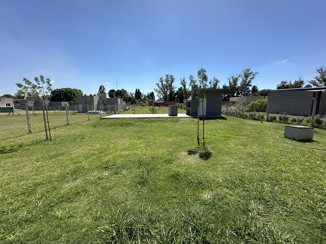 place photo 15