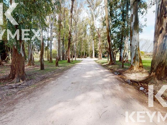 place photo 47