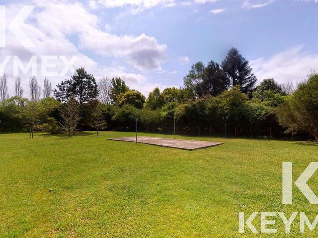 place photo 53
