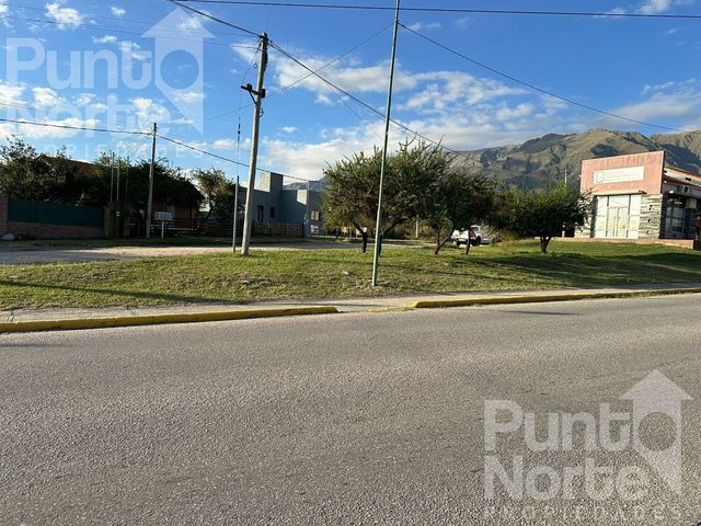 place photo 36
