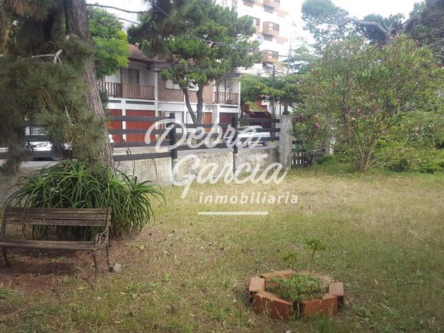 place photo 52