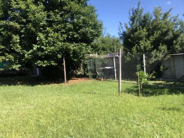place photo 32