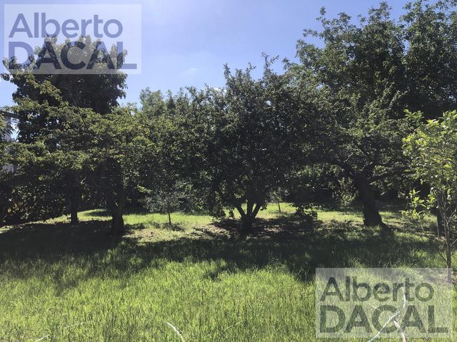 place photo 39