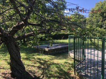 place photo 34